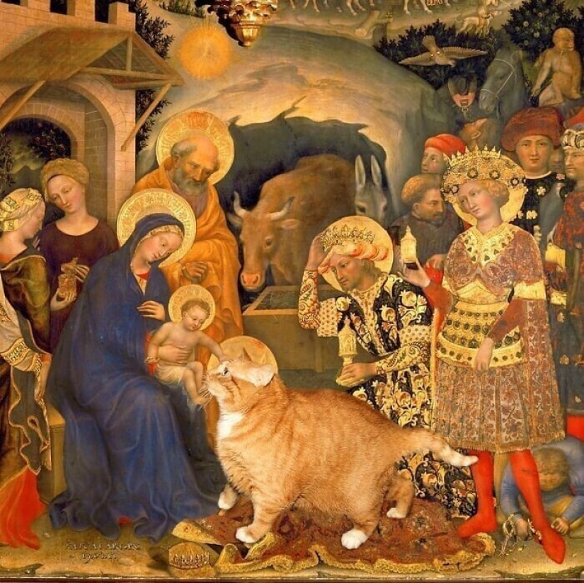 Zarathustra – St. Petersburg cat, who became part of the masterpieces of world art