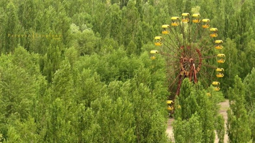 10 fotos de la naturaleza que le ganó la batalla a la civilización en la zona de exclusión alrededor de Chernobyl