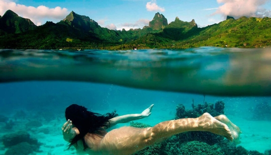 10 fotos únicas semi-subacuáticas