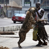 10 mascotas más inusuales