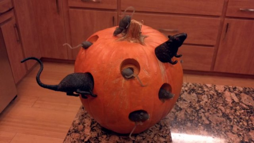 10 people who could have won a gold medal for their pumpkin
