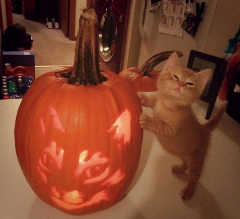 10 people who could have won a gold medal for their pumpkin
