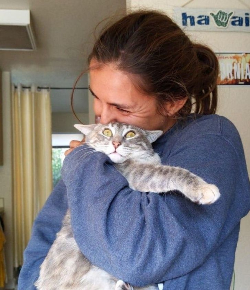 10 Photos That Prove Life With Cats Is An Adventure Full Of Love And Fun