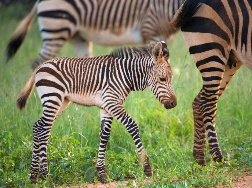 10 photos that will make you want to visit Namibia