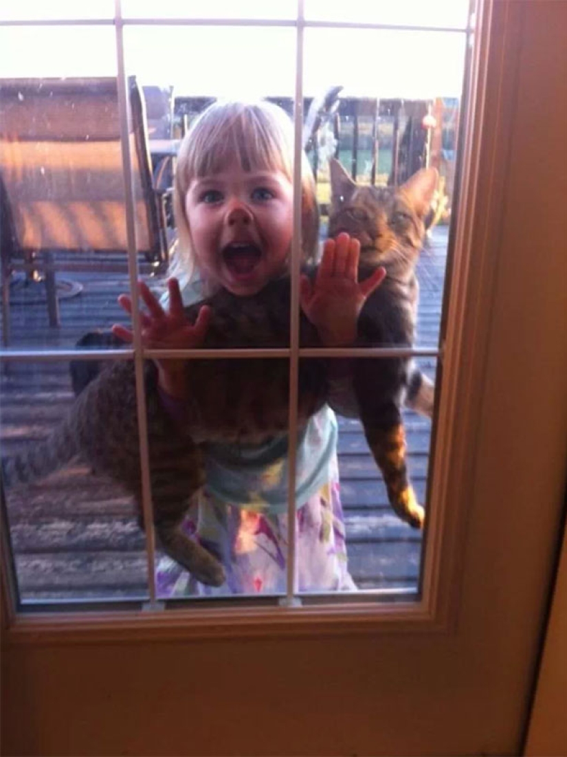 10 reasons not to leave children alone with pets