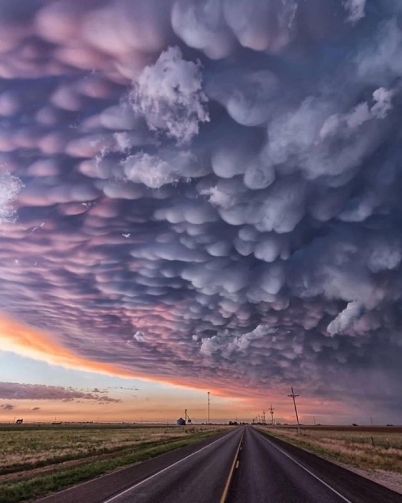 10 Times Mother Nature Surprised Us With Her Works Of Art