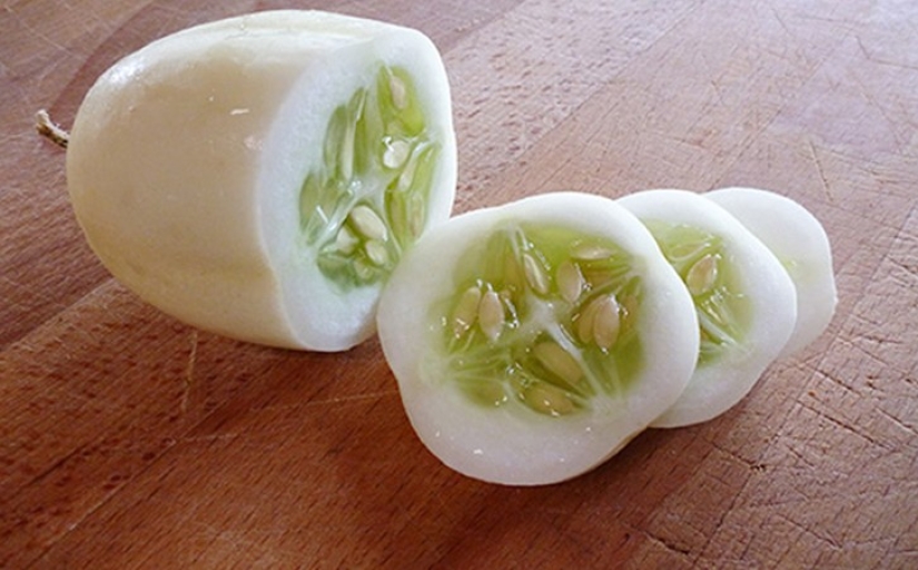 10 varieties of cucumbers that you haven't even heard of