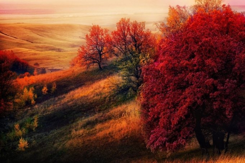 11 lugares donde el otoño se ve realmente genial