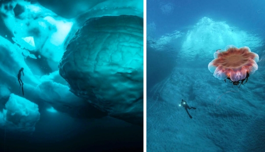 11 raras e impresionantes fotos de un iceberg en Groenlandia del fotógrafo Tobias Friedrich