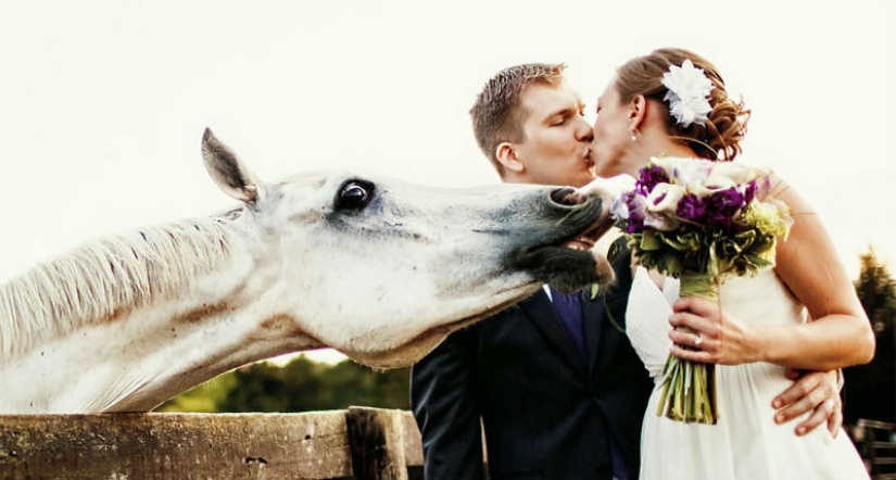 12 wedding photos that were ruined by some brute