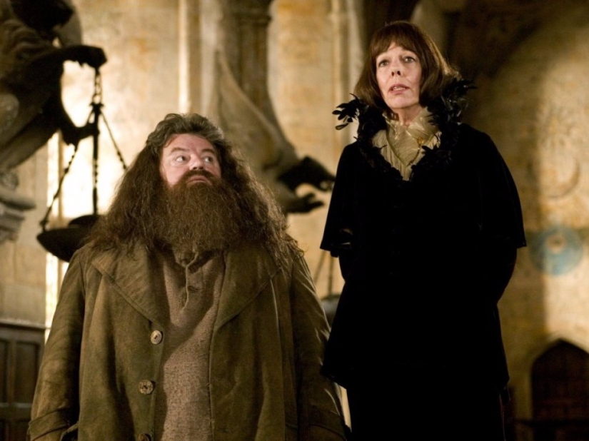 13 actores de las películas de Harry Potter que protagonizaron "Juego de Tronos"