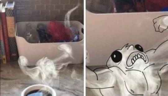 13 Objects That Unexpectedly Showed Their True Face