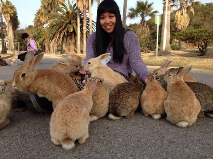13 Things That Might Make You Drop Everything and Go to Japan