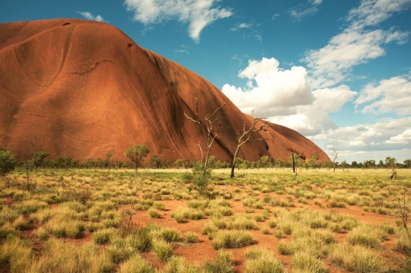 14 facts about Australia that you probably weren't familiar with