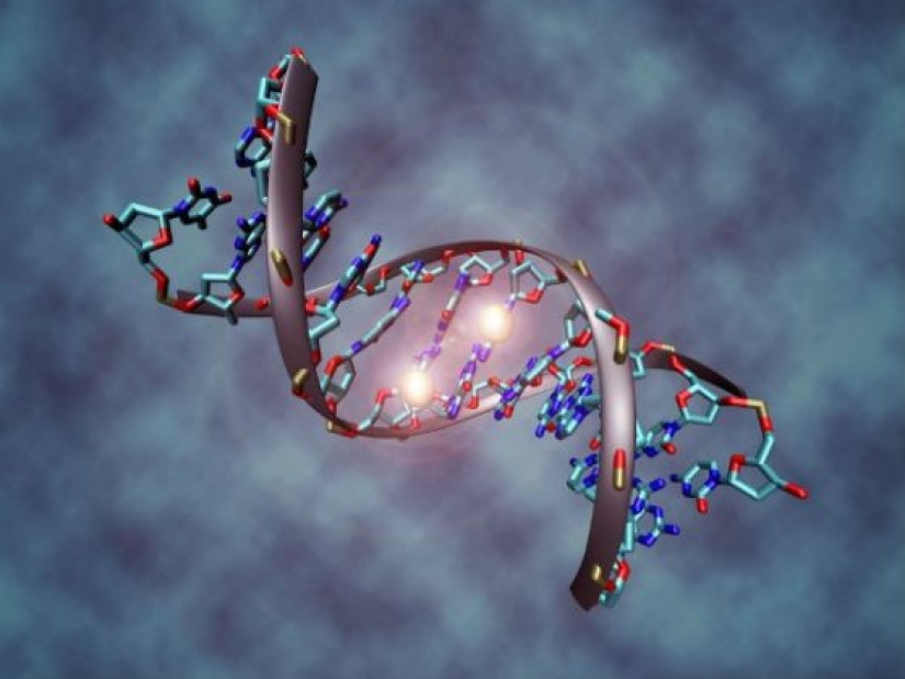 14 facts you may not know about DNA