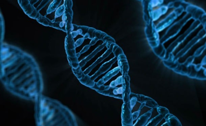 14 facts you may not know about DNA