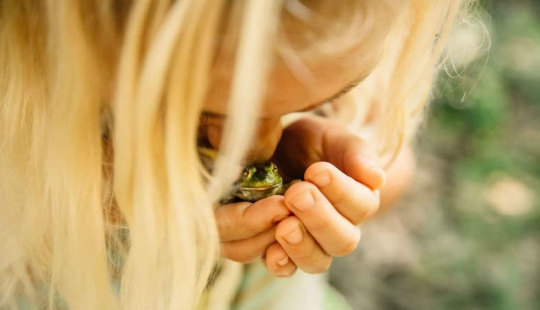 14 impresionantes imágenes de los ganadores del concurso Nature Conservancy 2018