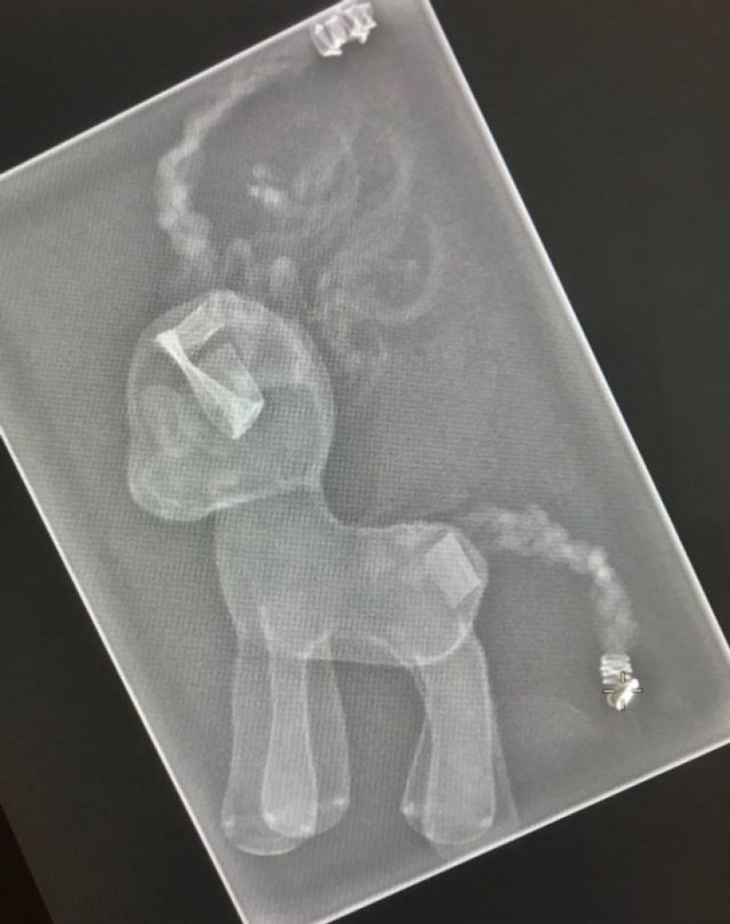 14 Things Nature Can't Show, But An X-Ray Can Show