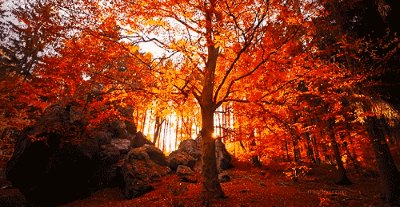 15 good reasons to enjoy the onset of autumn