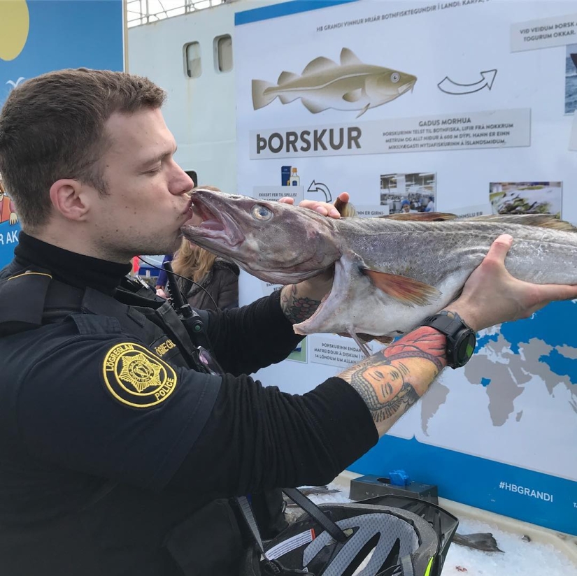 15+ photos proving that the cutest police officers work in Reykjavik