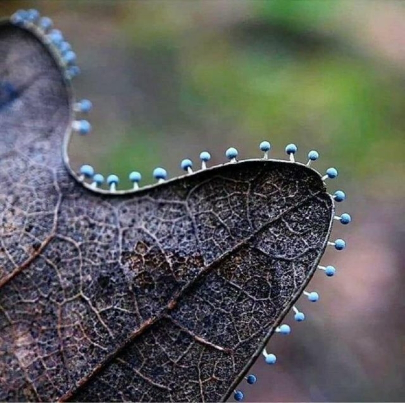 15 Times People Spotted Something Gorgeous In Nature And Had To Share It Online