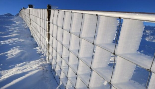 15 Times People Were So Satisfied Looking At The Snow They Just Had To Document It