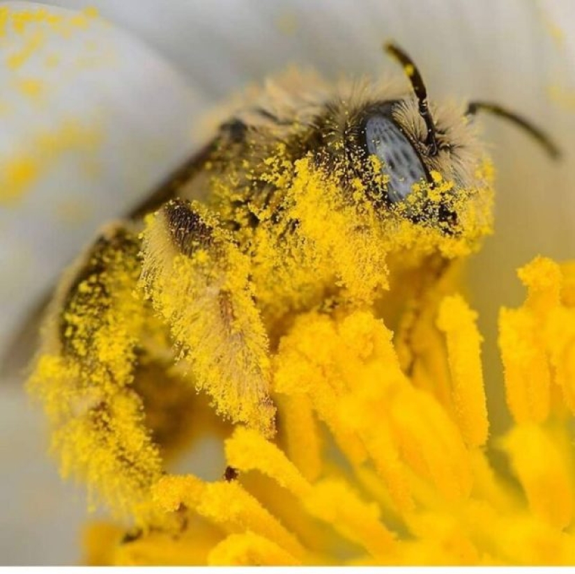 15 veces que la gente vio algo hermoso en la naturaleza y tuvo que compartirlo en línea