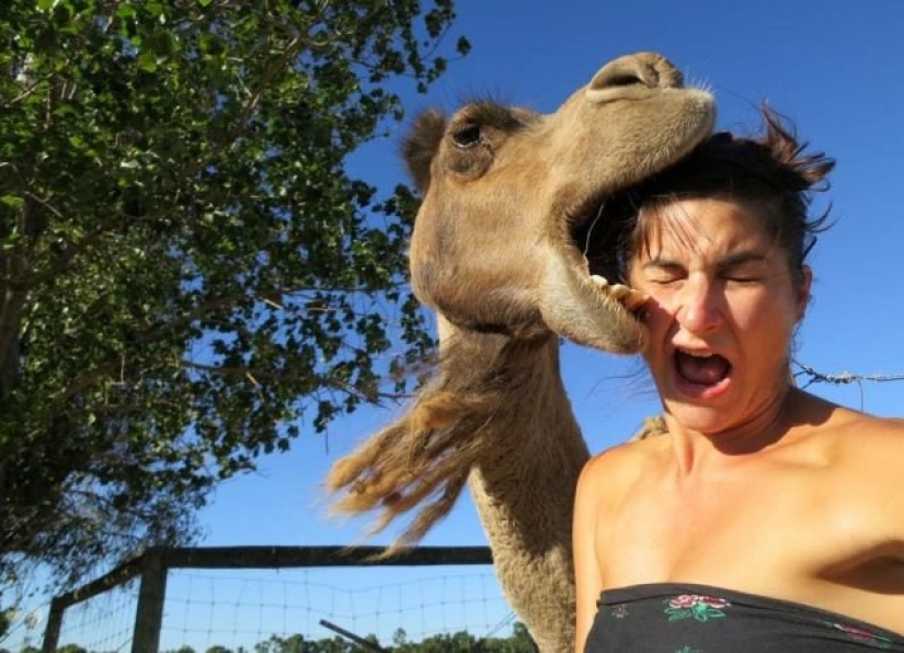 15 wayward animals who don't want to be photographed