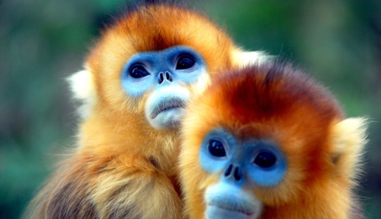 16 creatures as if from another planet