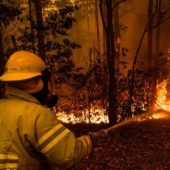 16 fotos impactantes de lo que está sucediendo en Australia