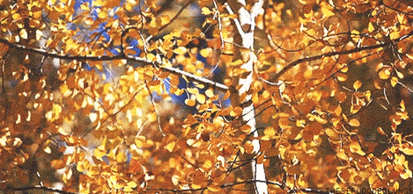 17 razones para alegrarse por la llegada del otoño