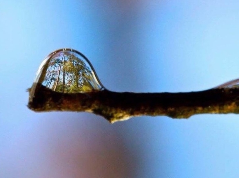 19 insanely perfect shots