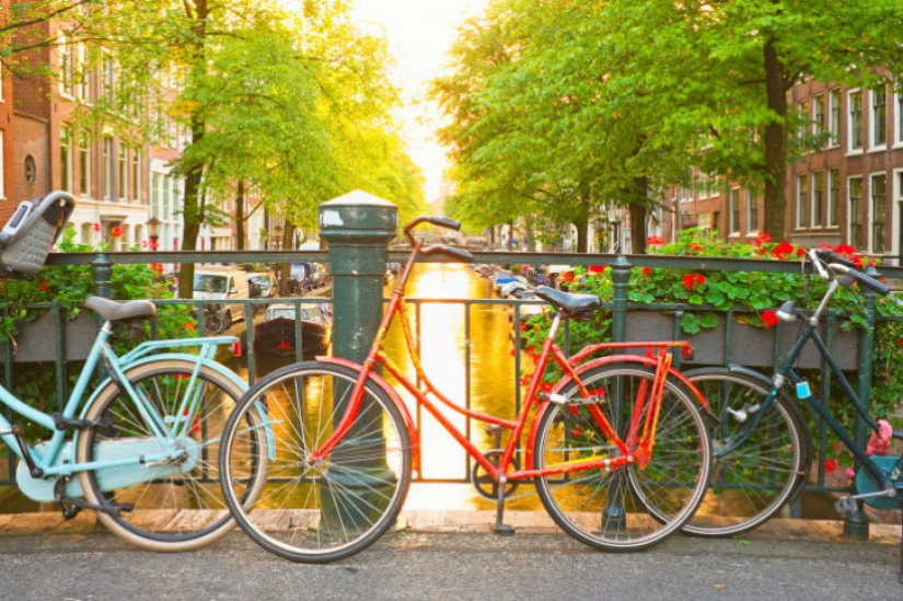 19 reasons to love the Netherlands