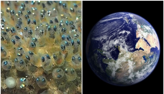 20 amazing facts about America that even Americans themselves don't know about