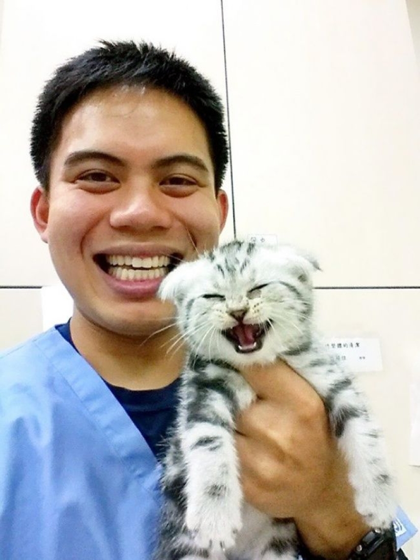 20 cute proofs that a veterinarian is a flying profession