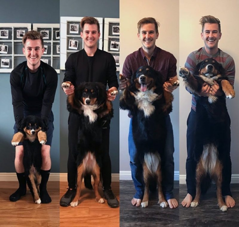 20 de tocar las fotos de los perros y sus dueños en el comienzo de una amistad después de muchos años