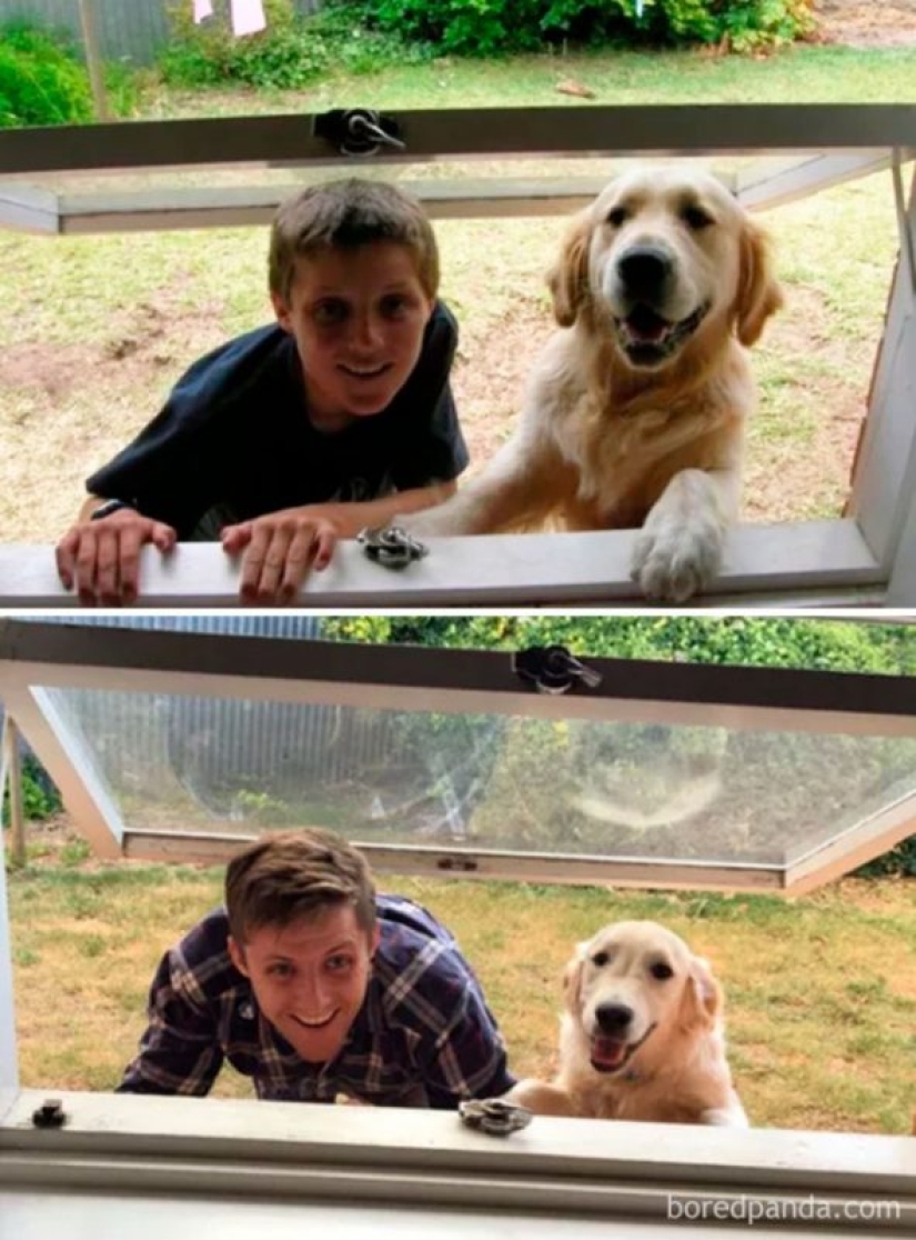 20 de tocar las fotos de los perros y sus dueños en el comienzo de una amistad después de muchos años