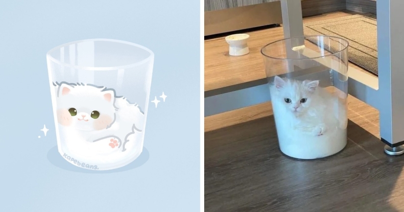 20 incredibly cute illustrations of cute animals from the Internet