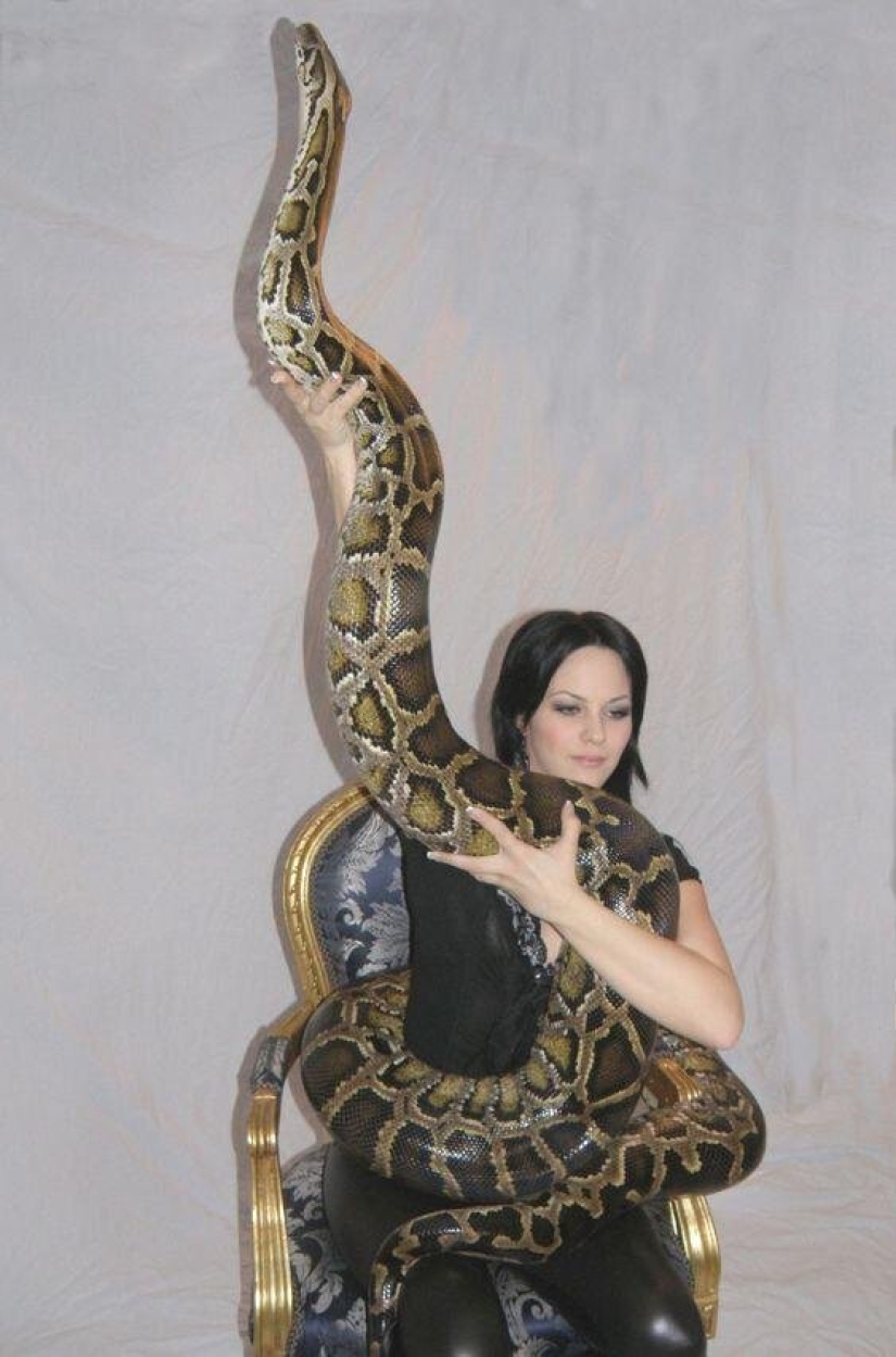 20 people who got a python, but did not calculate its size