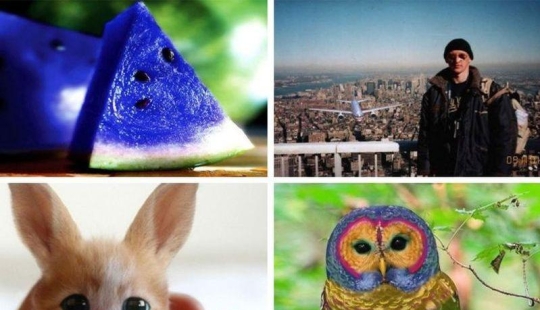 20 photo falsifications that have flown all over the world