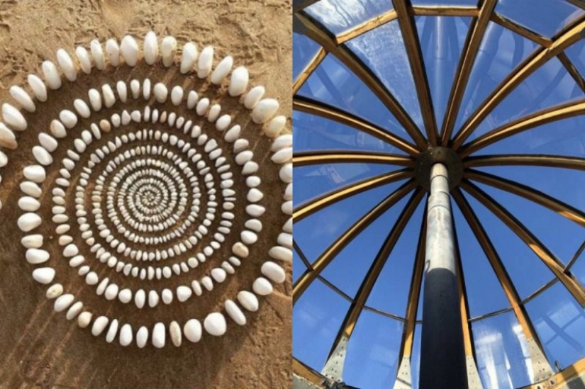 20 photos that will give you aesthetic pleasure Pictolic