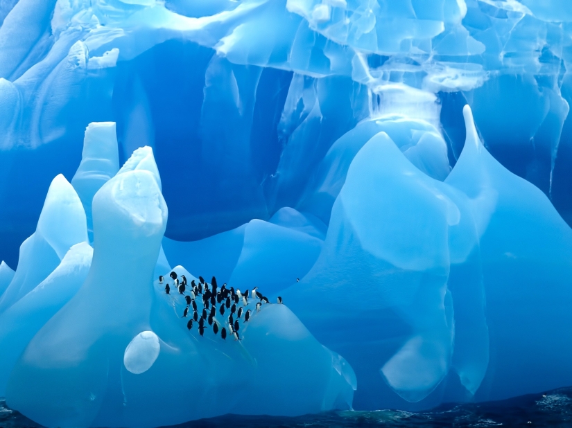 20 photos that will make you want to visit Antarctica