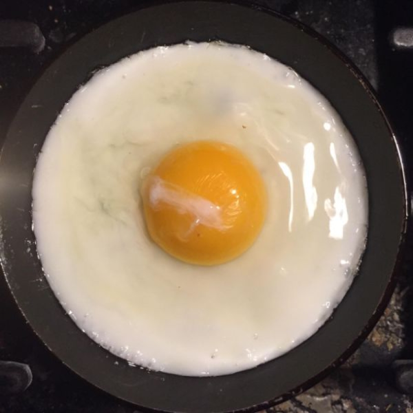 20 photos that will delight true perfectionists