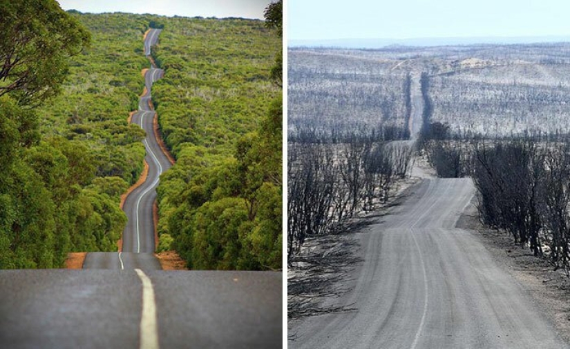 21 fotos que muestran las secuelas de los terribles incendios forestales en Australia