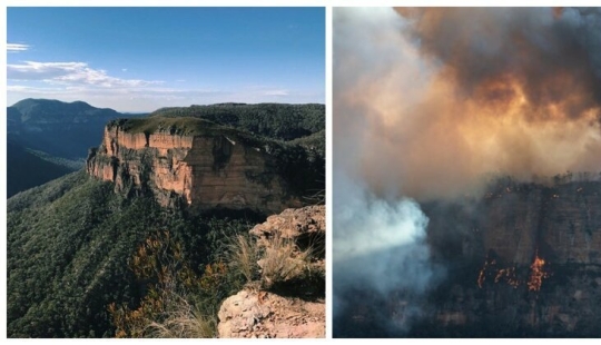 21 fotos que muestran las secuelas de los terribles incendios forestales en Australia