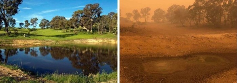 21 fotos que muestran las secuelas de los terribles incendios forestales en Australia