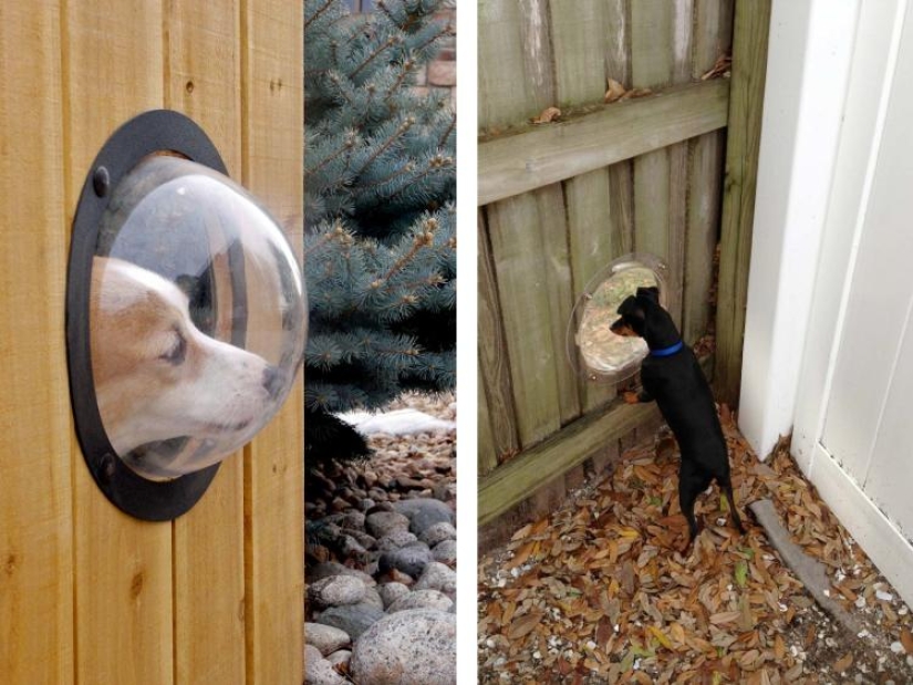 21 life hacks for pet owners