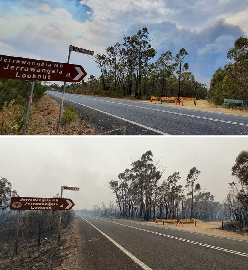 21 photos showing the aftermath of horrific bushfires in Australia