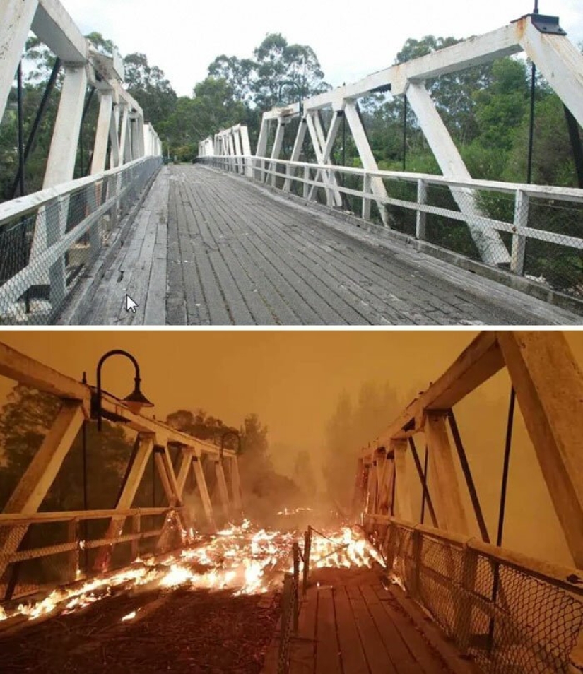 21 photos showing the aftermath of horrific bushfires in Australia
