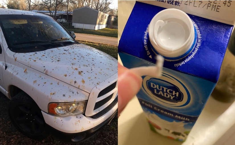 22 annoying trouble that turned someone's day into a nightmare